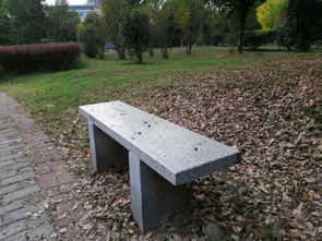 關(guān)于熱愛校園生活的作文