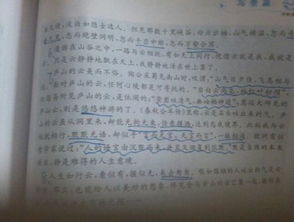 我們校園的一道風(fēng)景四百字作文