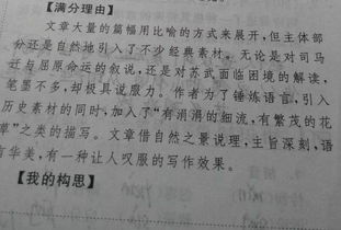 作文,回望,校園