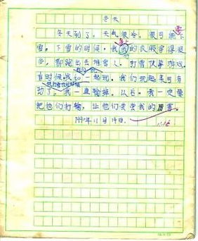 冬天校園下雪的作文二級(jí)作文