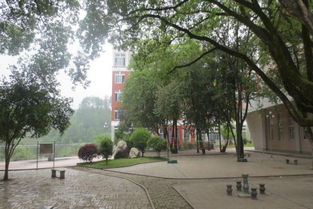 小學四級作文校園一角怎么寫