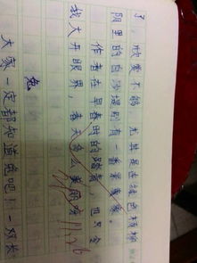 我喜歡的節(jié)日作文200字左右,難忘的節(jié)日作文200字,春節(jié)節(jié)日作文200字