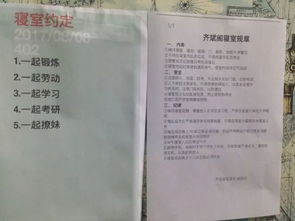 菁菁,作文,校園