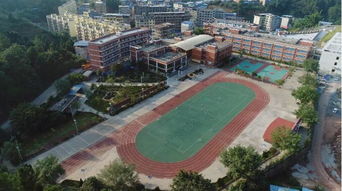 學校的環(huán)境變化校園的美麗作文600字