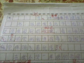 寫校園里的書450字作文