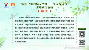 做自己的首席官平安校園行主題作文