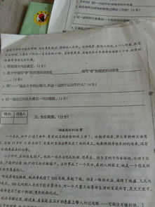 描寫校園的圖書館作文300字,圖書館的作文350字,描寫學校圖書館的作文