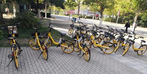 針對校園自行車亂放現(xiàn)象作文