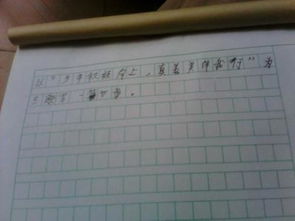 真善美,作文,校園