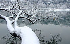 校園的作文350字以上,冬天的校園作文350字四年級(jí),冬天作文350字以上