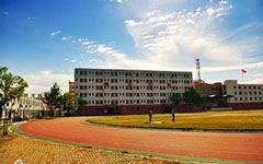 我們的校園?；兆魑?00字