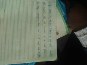 名叫美麗的校園三百字作文按照時間順序