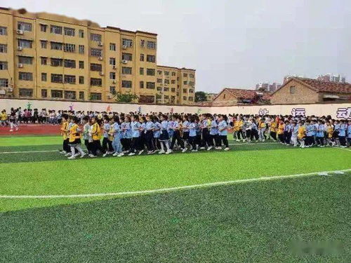 繽紛六月美麗校園作文