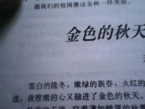 作文,秋季,小段,校園