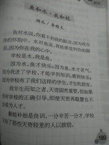 我與校園作文700字