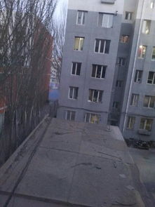 校園的一角作文構(gòu)思