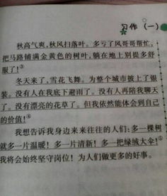 作文,落葉,校園