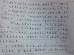 自編校園小說(shuō)作文500字六年級(jí),自編校園小說(shuō)作文800字,自編校園小說(shuō)作文400字