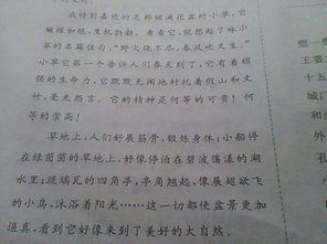 擬人,作文,校園