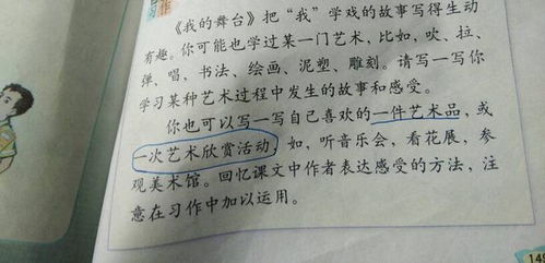 校園里踢足球作文500字以上