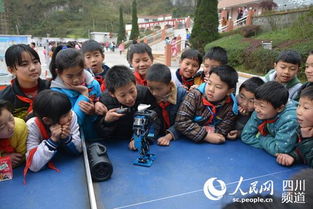 科普大篷車進(jìn)校園觀后感作文