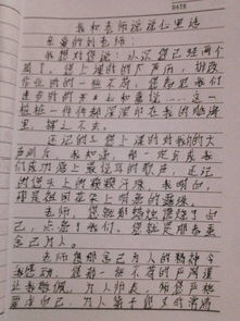 作文,校園里,現(xiàn)象