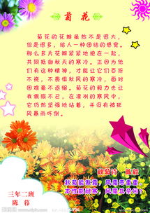 關于校園里的菊花的作文400字作文