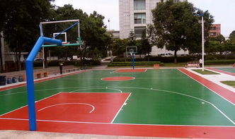 校園一景作文初二,校園一景作文開頭,校園一景作文300字初二籃球場