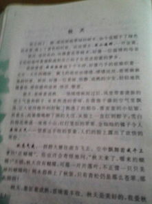 描寫(xiě)校園秋天的作文600字初中,寫(xiě)校園秋天景色的作文600字初中,關(guān)于校園里的秋天的作文600字作文