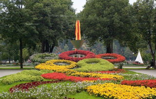 作文,花壇,景色,校園