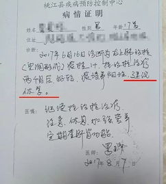 作文,素材,記事,校園