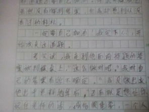 誠(chéng)信金融伴我行作文600字,平安校園伴我行作文600字,誠(chéng)信進(jìn)校園作文600字