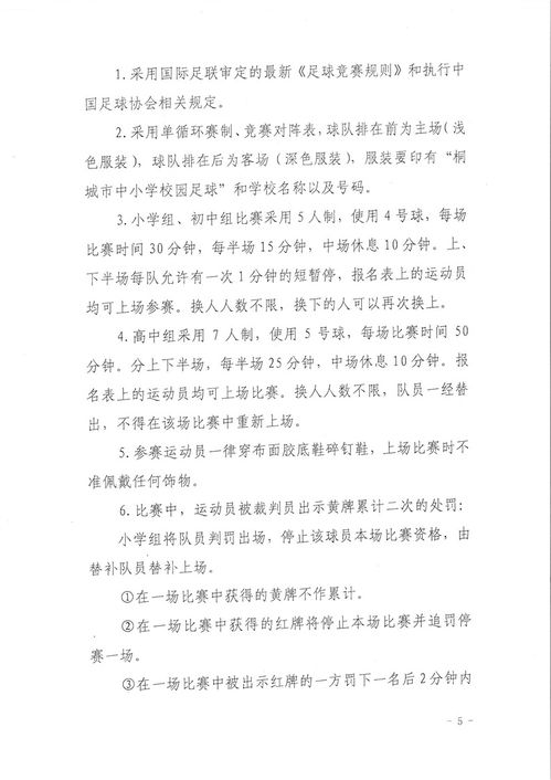 校園足球賽體會(huì)作文五百字