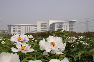 校園春意濃作文1000