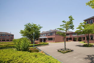 校園里的感動作文片段式