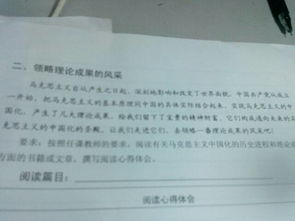 大學(xué)生校園周記800字作文