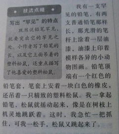 關(guān)于校園紅果的作文300字