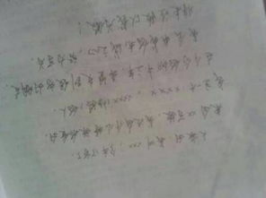 我的中學校園作文300