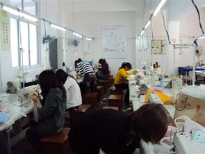 關(guān)于校園環(huán)境號召的作文