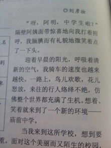 喜歡小學(xué)校園生活300字作文