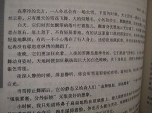 校園身影的作文600字