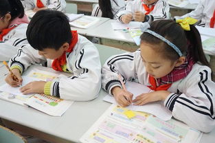 二實(shí)小四級我的校園作文