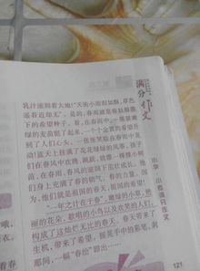 校園的甜作文寫春夏秋冬500