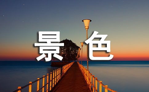 雨后校園景色作文