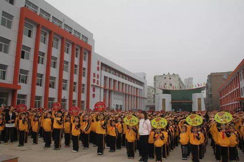 離石永寧小校校園作文