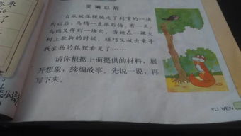 夏天校園的老槐樹作文400字