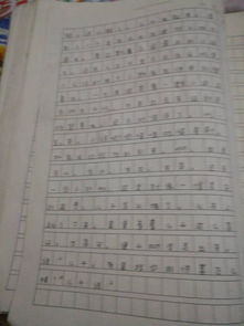 作文,小標(biāo)題,校園
