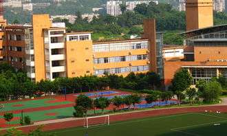 校園的早晨作文不少于300字