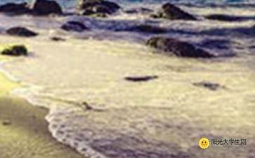 鄉(xiāng)村校園美景的作文