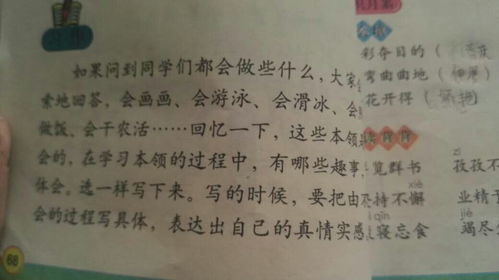 我的校園三級作文300個字左右